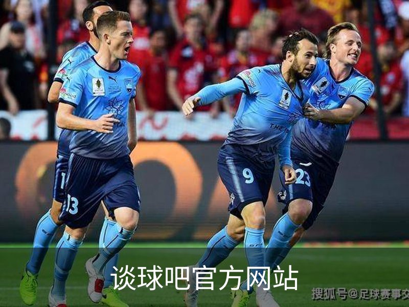 谈球吧官方网站概况